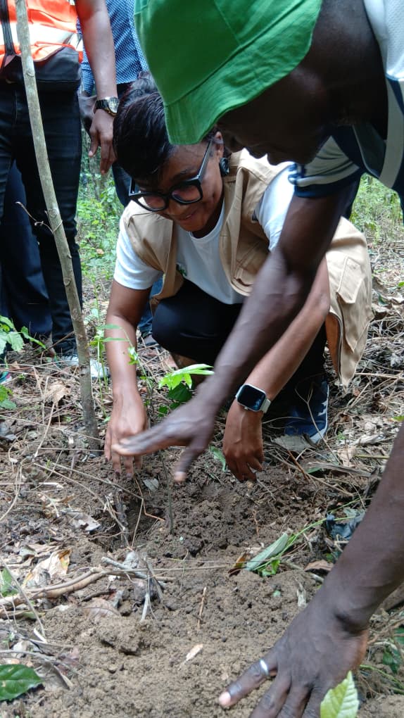 International Day of Forests: Mbalmayo